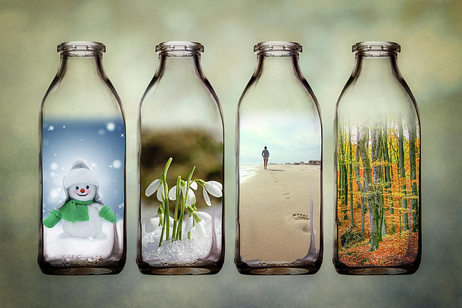 Time in a Bottle - The Four Seasons Photograph by Tom Mc Nemar