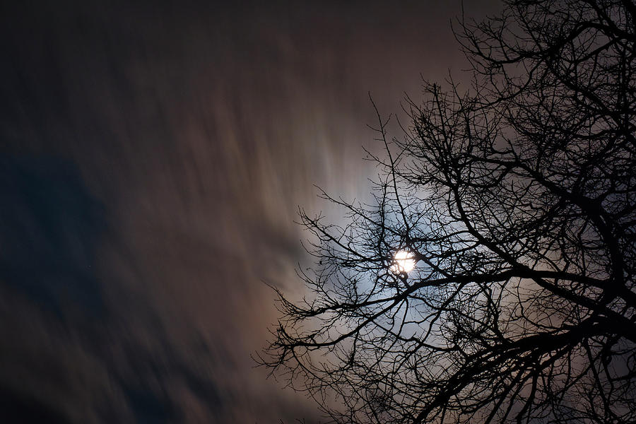 Time of Mystery. Horytsya, 2015. by Andriy Maykovskyi Time of Mystery. Horytsya, 2015. by Andriy Maykovskyi