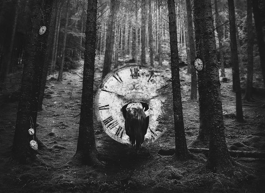 Time Photograph by Sandra Ulfig Arps