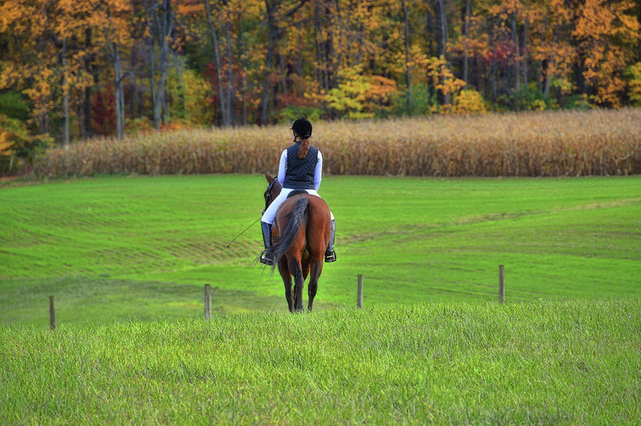 Time Spent Together Photograph by Dressage Design