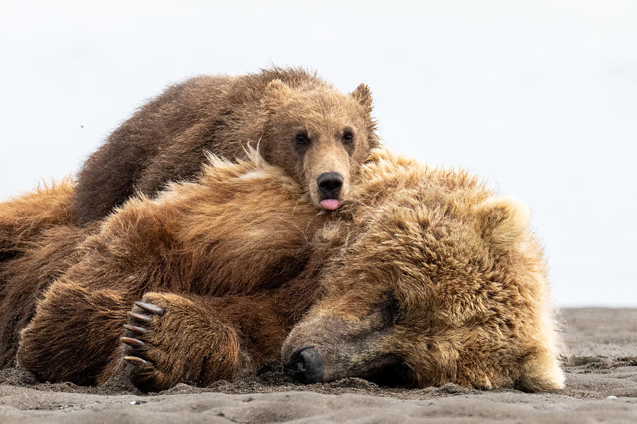 Time to get up mom photograph by barbara gill pixels
