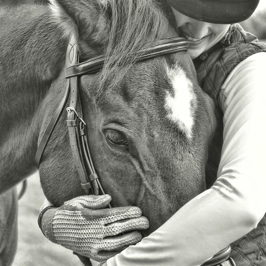 Time Together With Horses Photograph by Dressage Design