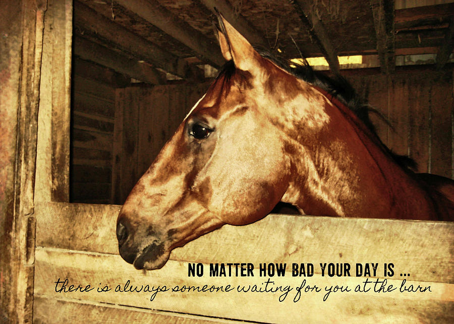 Time With Kirby Photograph by Dressage Design