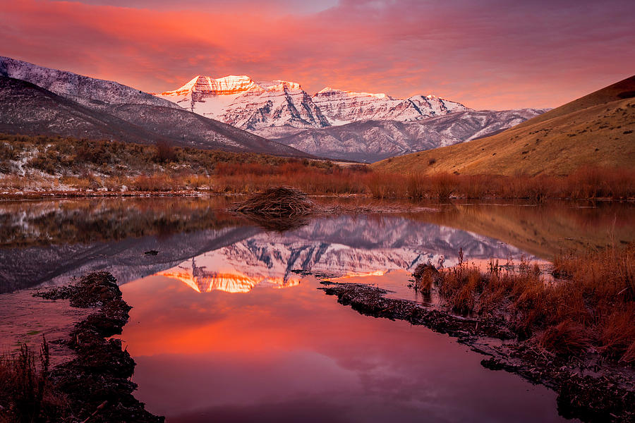 Timp Beaver Pond Sunrise by Johnny Adolphson Timp Beaver Pond Sunrise by Johnny Adolphson