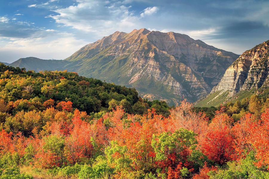 Fall Photograph - Timpanogos with Fall Colors. by Wasatch Light