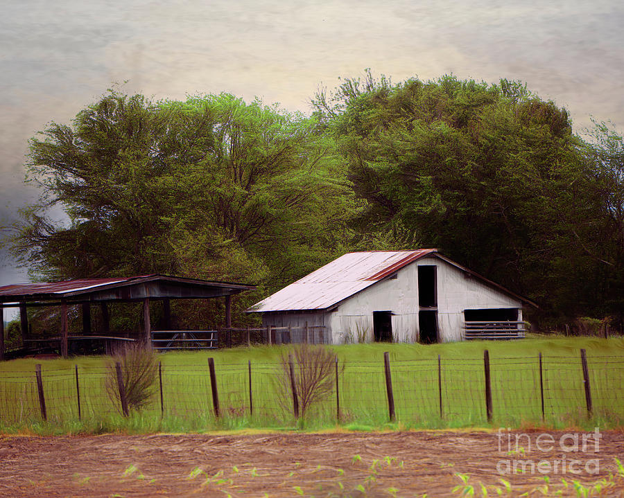 Tin Barn Photograph by Karen Beasley - Fine Art America