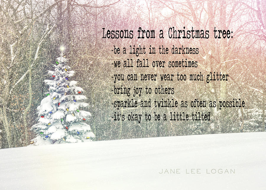 TINIEST TREE quote Photograph by Jamart Photography