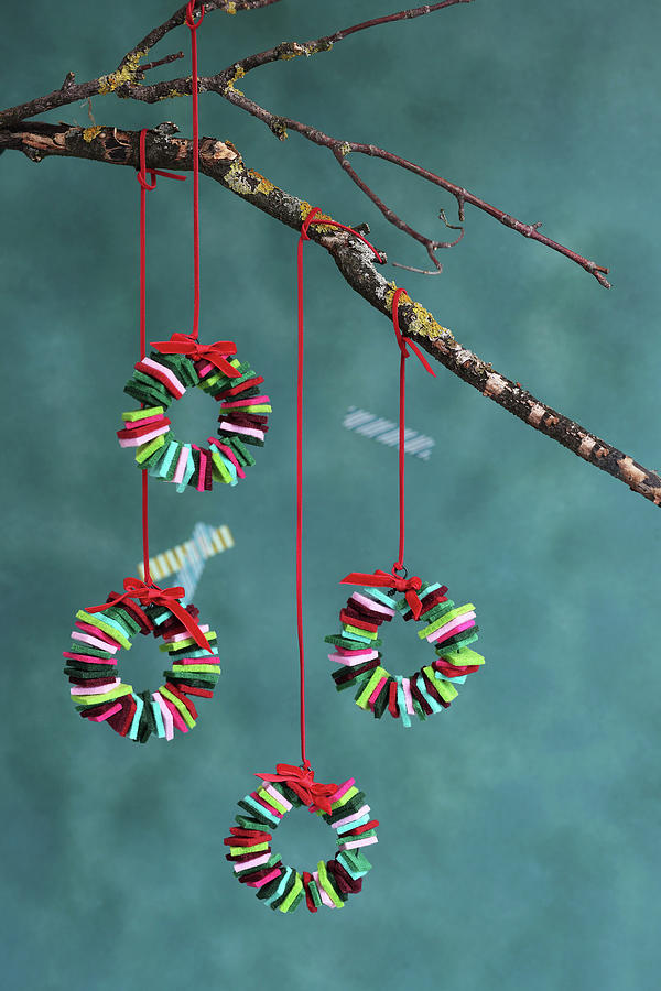 Tiny Colourful Christmas Wreaths Made From Felt Squares Hung From Branch Photograph by Thordis Rggeberg