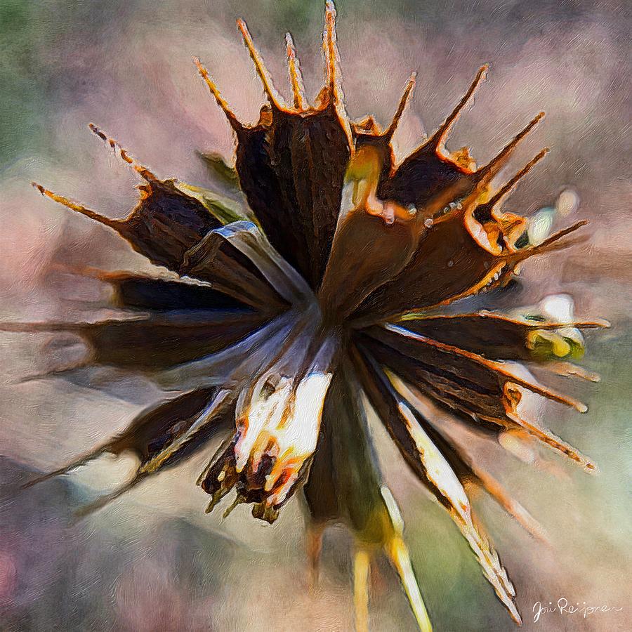 Tiny Dried Flower 1 Photograph by Jori Reijonen