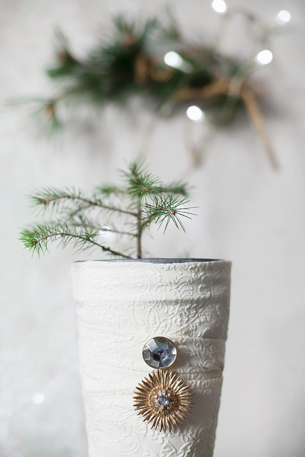 Tiny Fir Tree In Vase Wrapped In Cloth Photograph by Alicja Koll