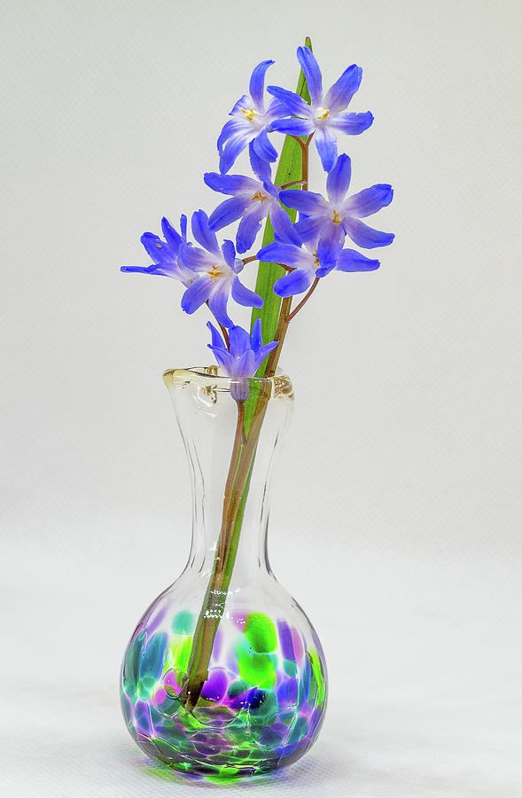 Tiny Flowers in a Tiny Vase Photograph by Mary Courtney