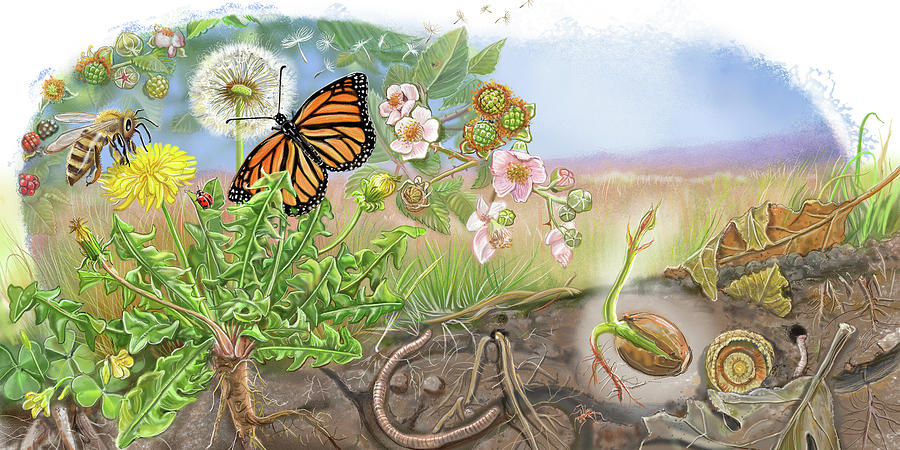 Butterfly Painting - Tiny Giant Pages 20-21 by Cathy Morrison Illustrates