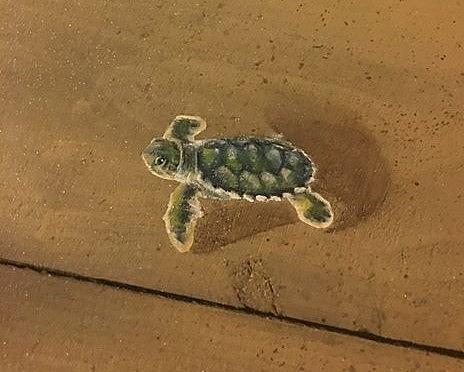 Tiny Sea Turtle Sticker