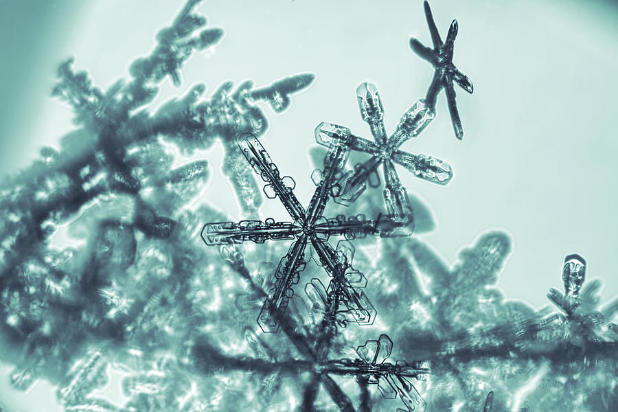Tiny snowflakes - monochrome blue Photograph by Intensivelight