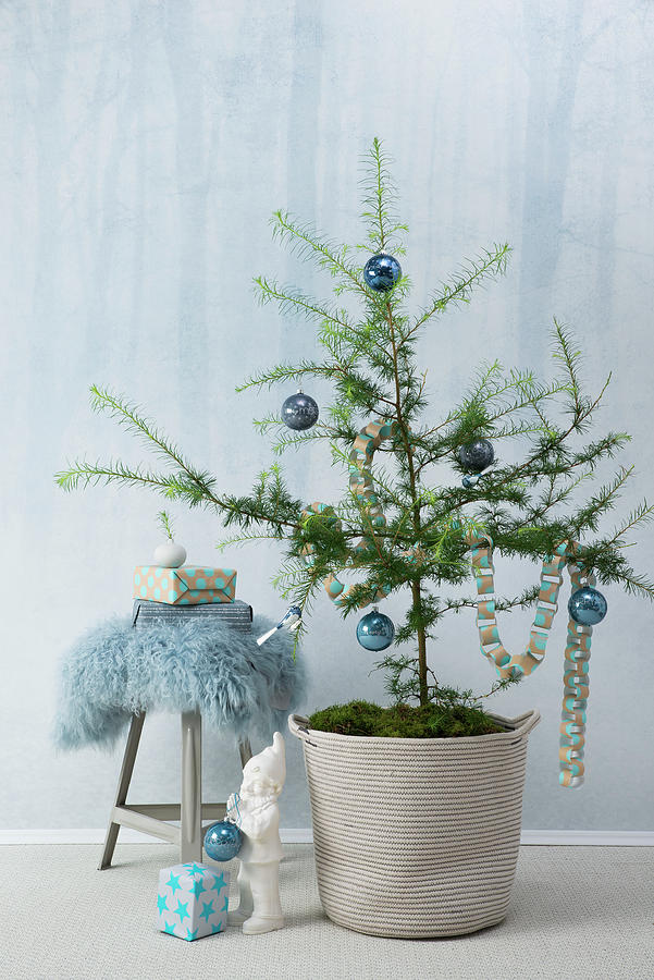 Tiny Tree Decorated For Christmas Photograph by N.zweig/t.roch