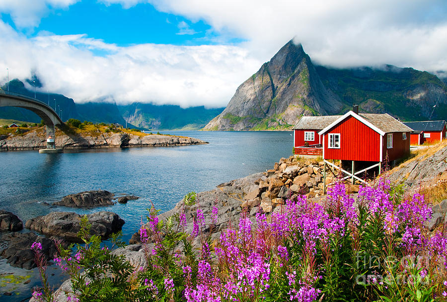 Mountains Photograph - Tipical Red Fishing Houses In A Harbor by Maria Uspenskaya Mountains Photograph - Tipical Red Fishing Houses In A Harbor by Maria Uspenskaya