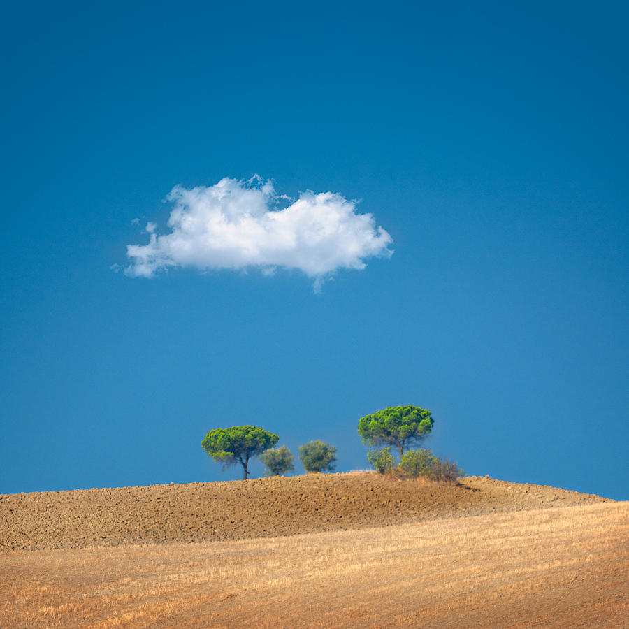 Tipically Tuscany Photograph by Tommaso Pessotto