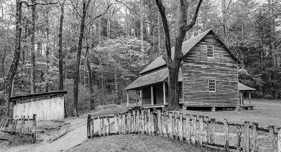 Tipton Place in Black and White Photograph by Marcy Wielfaert