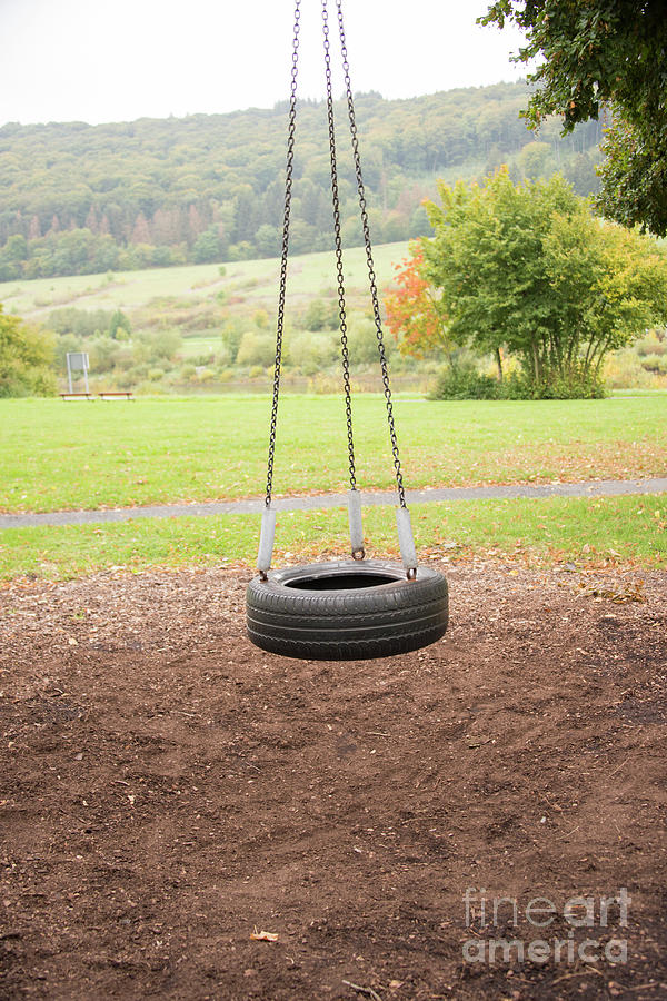 Tire Swing Photograph by Juli Scalzi
