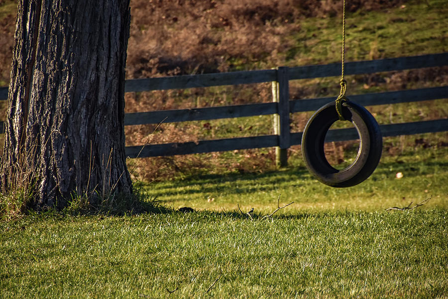 Tire Swing Photograph by Michelle Wittensoldner