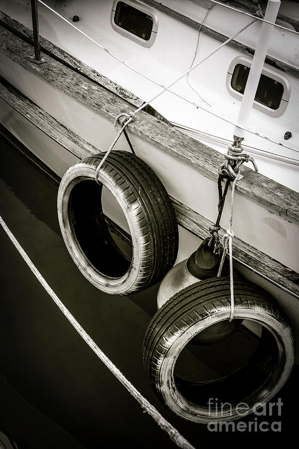 Tire Swing Sailing Photograph by Becqi Sherman