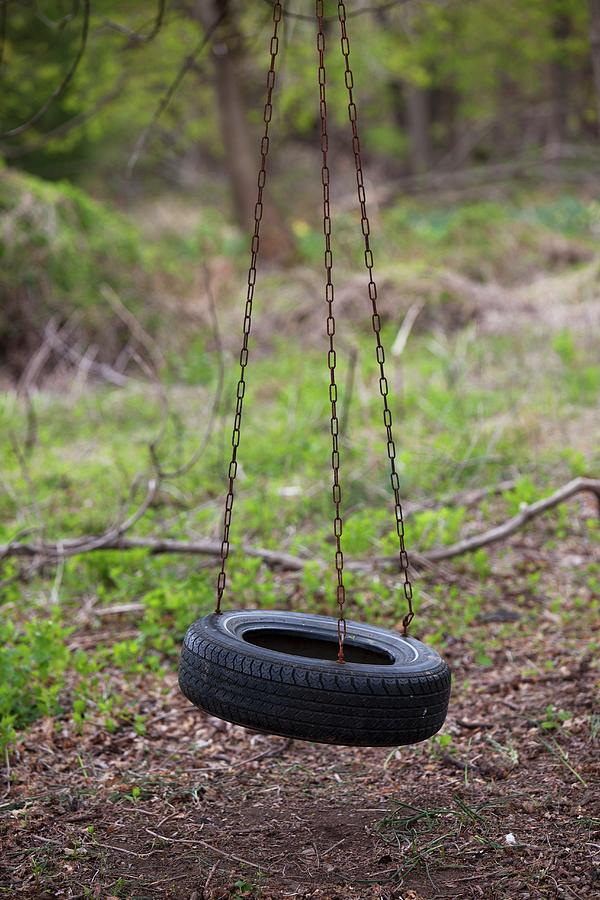 Tire Swing Photograph by Yelena Strokin