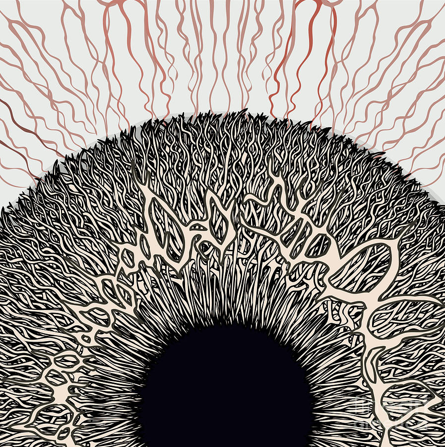 Blood Vessel Digital Art - Tired Human Eye Hand Drawn Iris Detail by Ryger