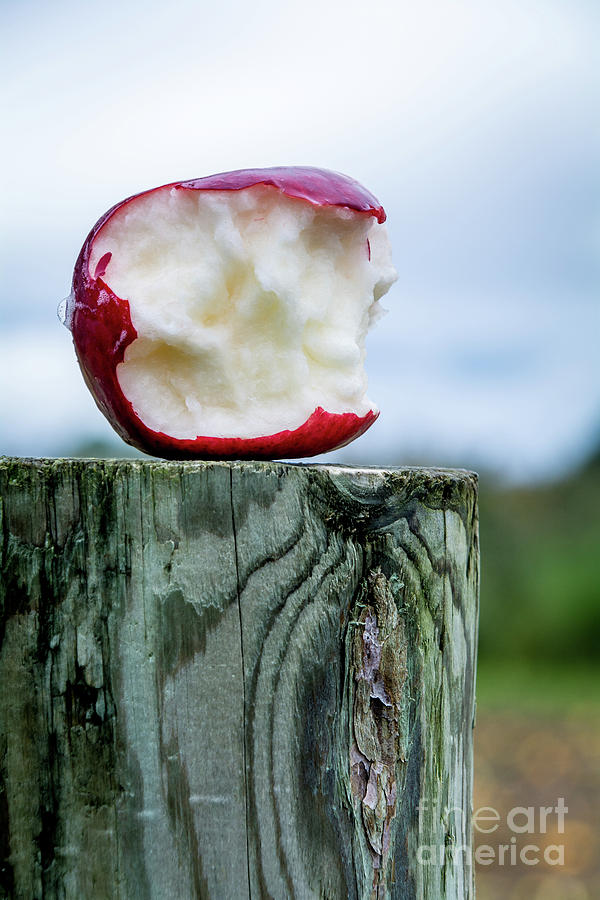 Tis the Season for Apple Pickin Photograph by Deborah Klubertanz
