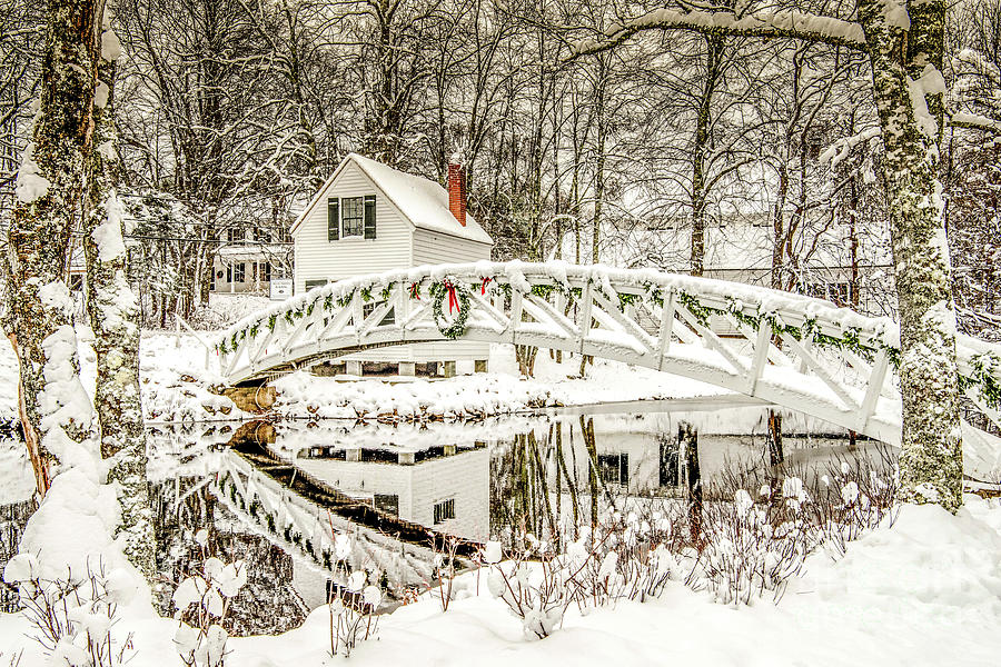 Tis The Season by Susan Garver Tis The Season by Susan Garver