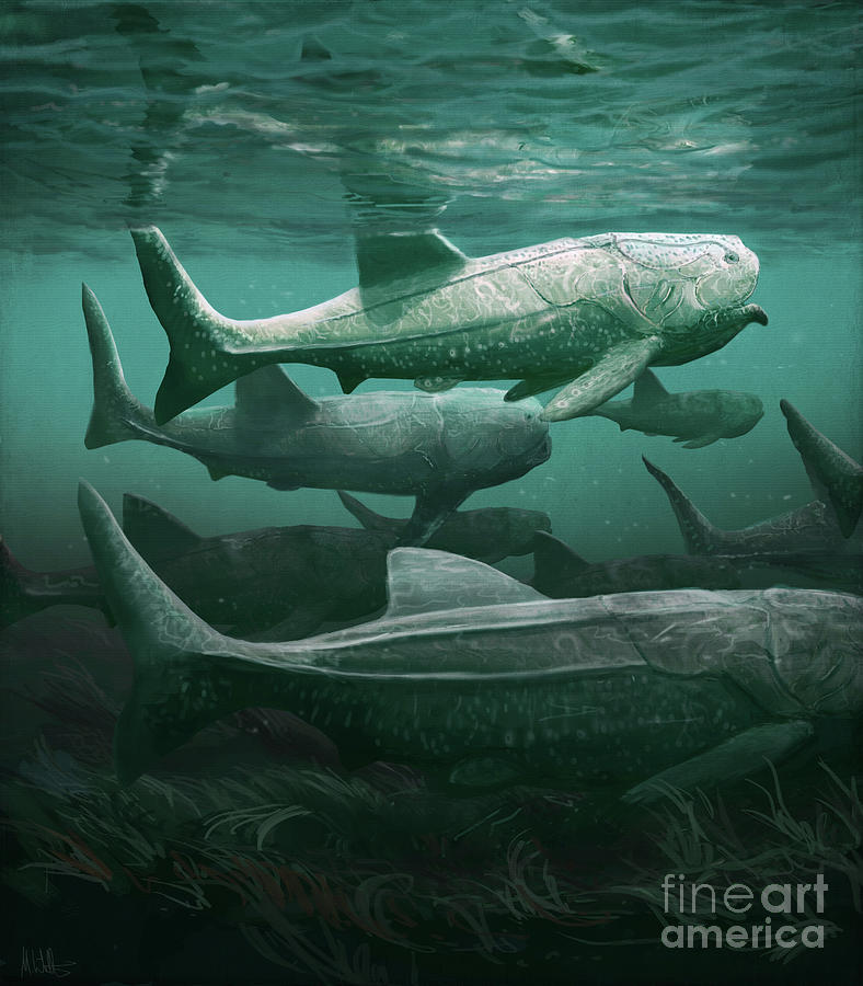 Prehistoric Photograph - Titanichthys Prehistoric Fish by Mark P. Witton/science Photo Library