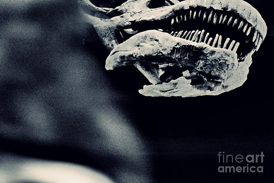 Titanosaur  Monochrome Photograph
