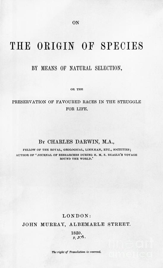 Title Page From The Origin Of Species Photograph by Bettmann