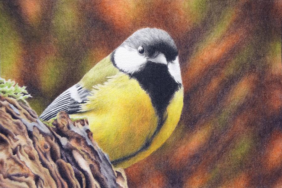 Titmouse Painting - Titmouse by Anna Albatros