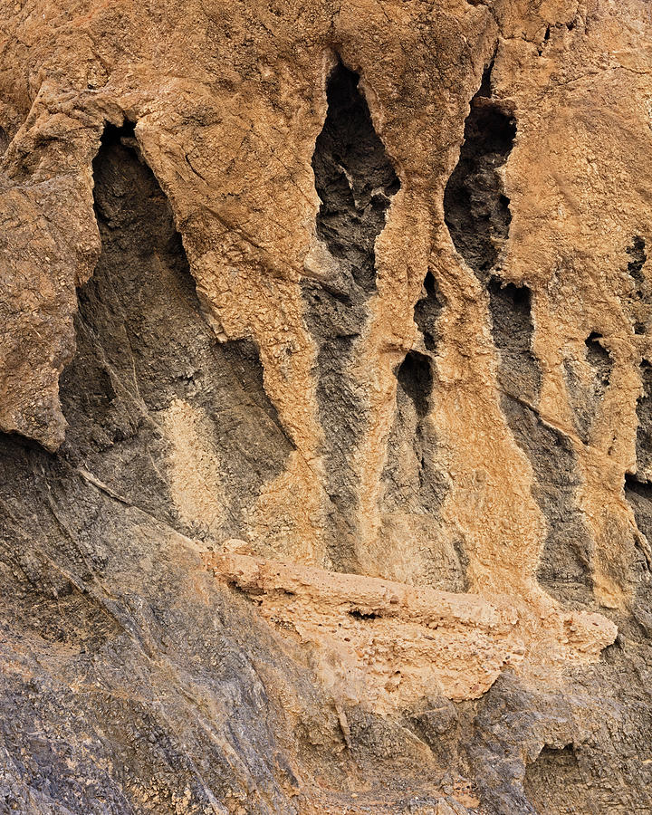 Fall Canyon Eroded Wall Photograph by Tom Daniel