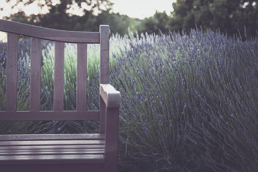The Wait by Orenda Pixel Design The Wait by Orenda Pixel Design