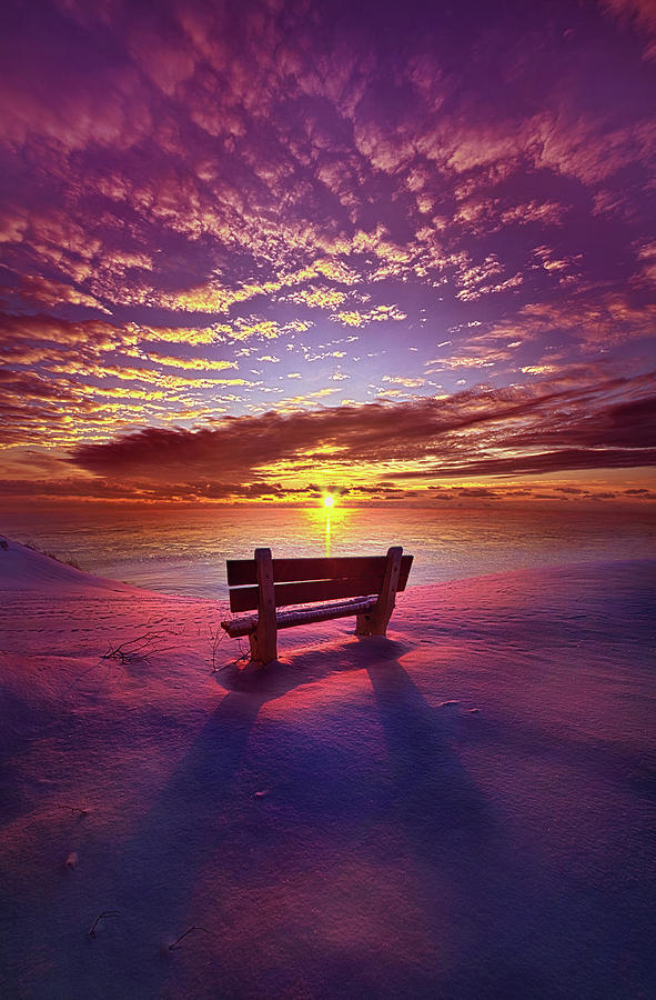 To Belong To Oneself Photograph by Phil Koch