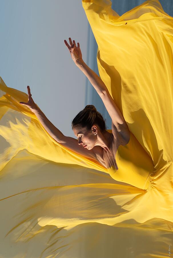 Dance Photograph - To Fly As A Bird by Zipi Raviv