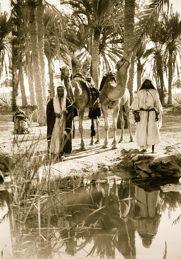 To Sinai via the desert. Scene at the Springs of Moses; Marah Painting by 