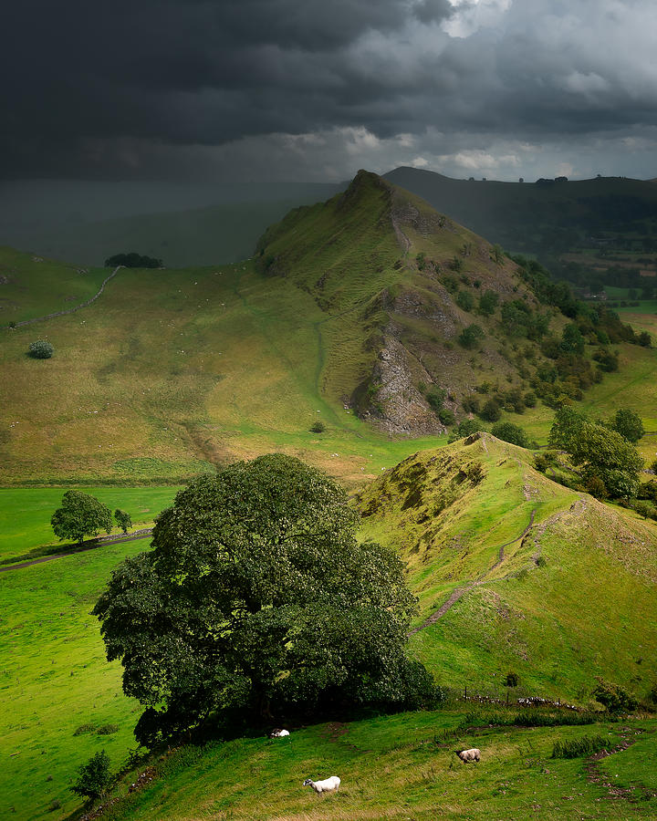 Landscape Photograph - To Weather A Storm by Francis Wilson