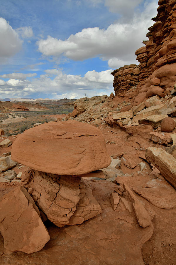 Toadstool Boulder along County Road 1028 in Utah Photograph by Ray Mathis