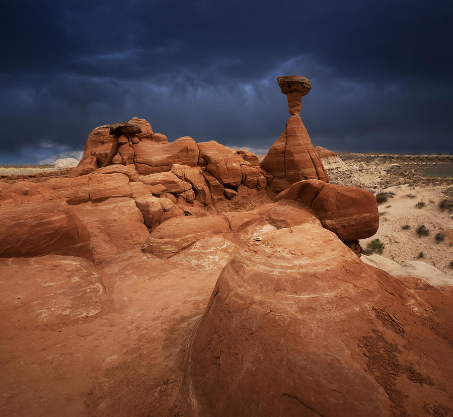 Toadstool Hoodoos Photograph by Ming Chen