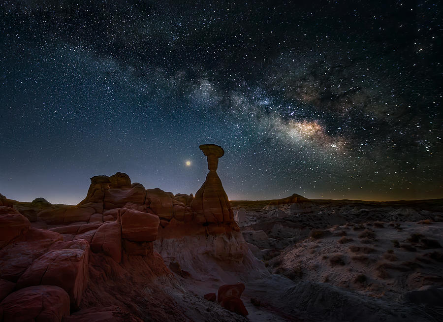 Toadstool Night Sky Photograph by Ruiqing P.