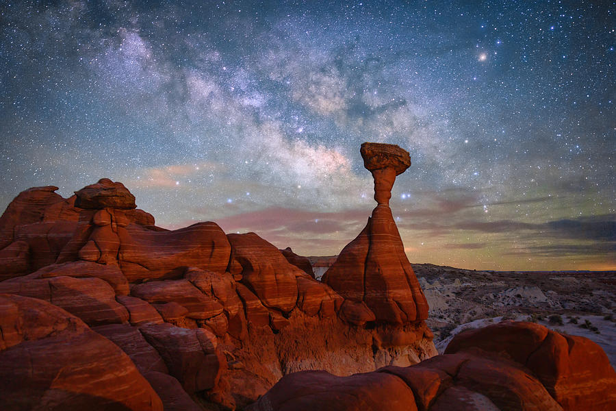Night Photograph - Toadstool Under The Night Sky by Michael Zheng