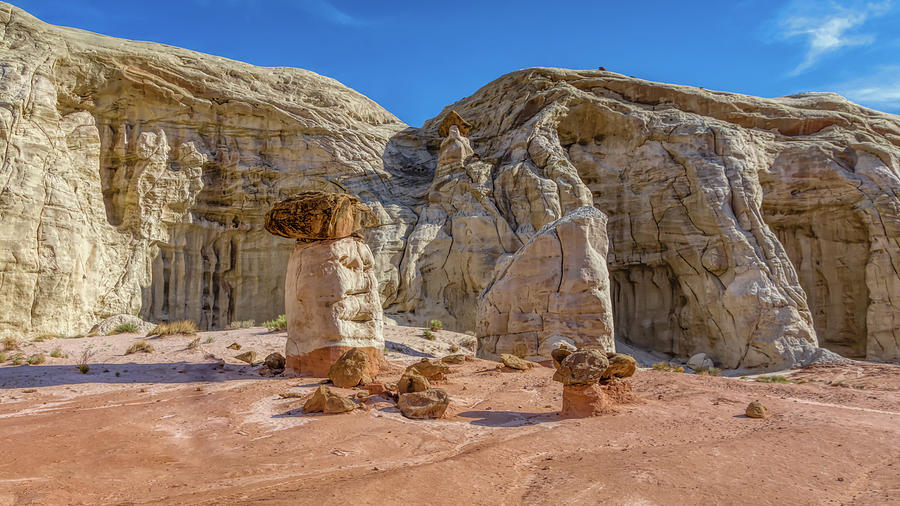 Toadstools and Alcoves  - Utah  Photograph by Debra Martz