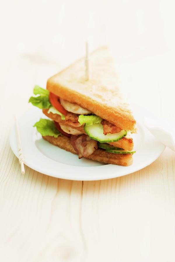 Toasted Blt Sandwich Photograph by Michael Wissing