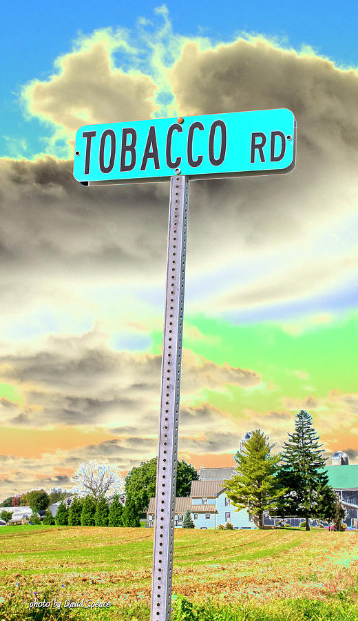 Tobacco Road Photograph by David Speace