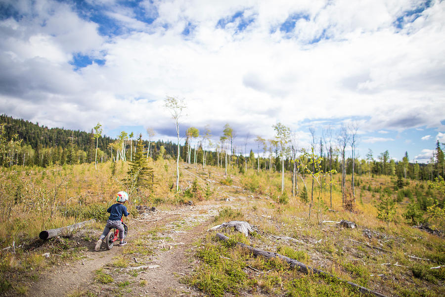 Nature Photograph - Toddler Boy Biking On Dirt Road Through Open Forest. by Cavan Images