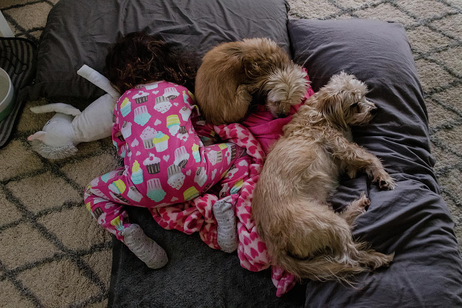 Dog Photograph - Toddler Girl And Two Small Dogs Sleeping On The Floor by Cavan Images
