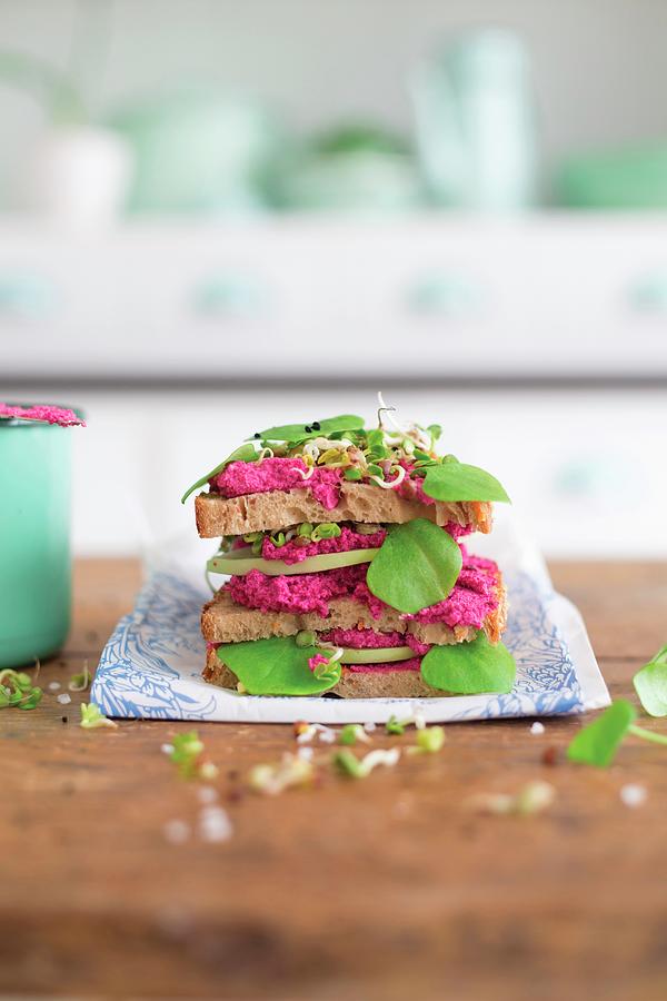 Tofu Spread With Baked Beetroot And Sprouts Photograph by Syl Loves