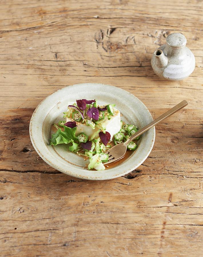 Tofu With Salad And Soy Dressing Photograph by Charlotte Kibbles | Pixels